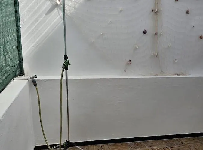 Captain Pepito 2 Lejlighed